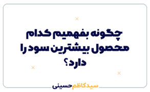 تحلیل صورت سود و زیان: چگونه بفهمیم کدام محصول بیشترین سود را دارد؟